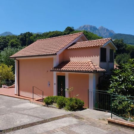 Villa Vicinus - 120 Mq - Parking - Garden Vietri المظهر الخارجي الصورة