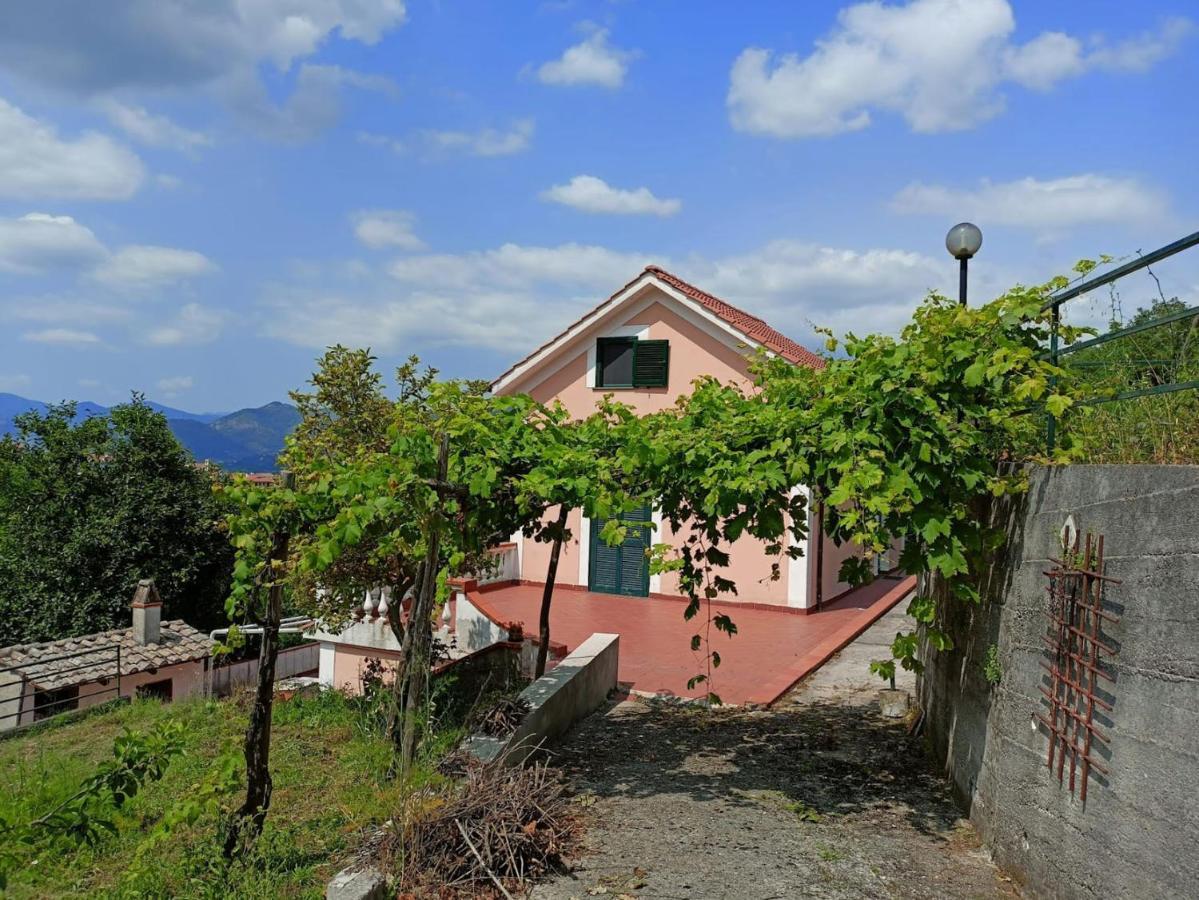 Villa Vicinus - 120 Mq - Parking - Garden Vietri المظهر الخارجي الصورة